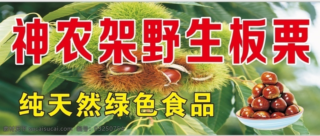 神龙 架 野生 板栗 纯天然 食品 喷绘 红色