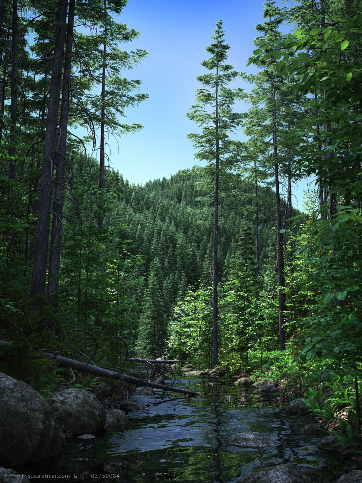 流水 潺潺 树 树木 树林 山 自然 绿色 水 山水风景 风景图片