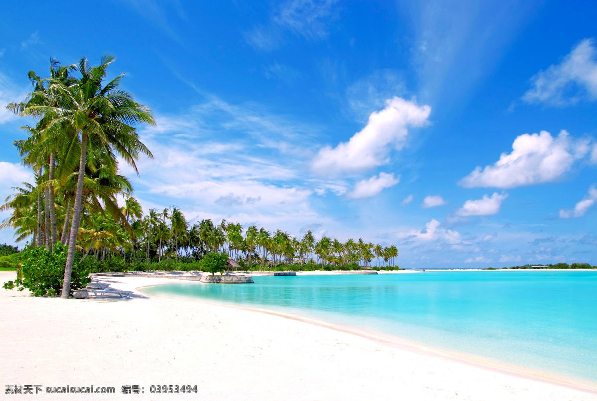 大 场景 海岸 风景 高清 椰子树 沙滩 大海 蓝天 白云 自然景观 自然风景