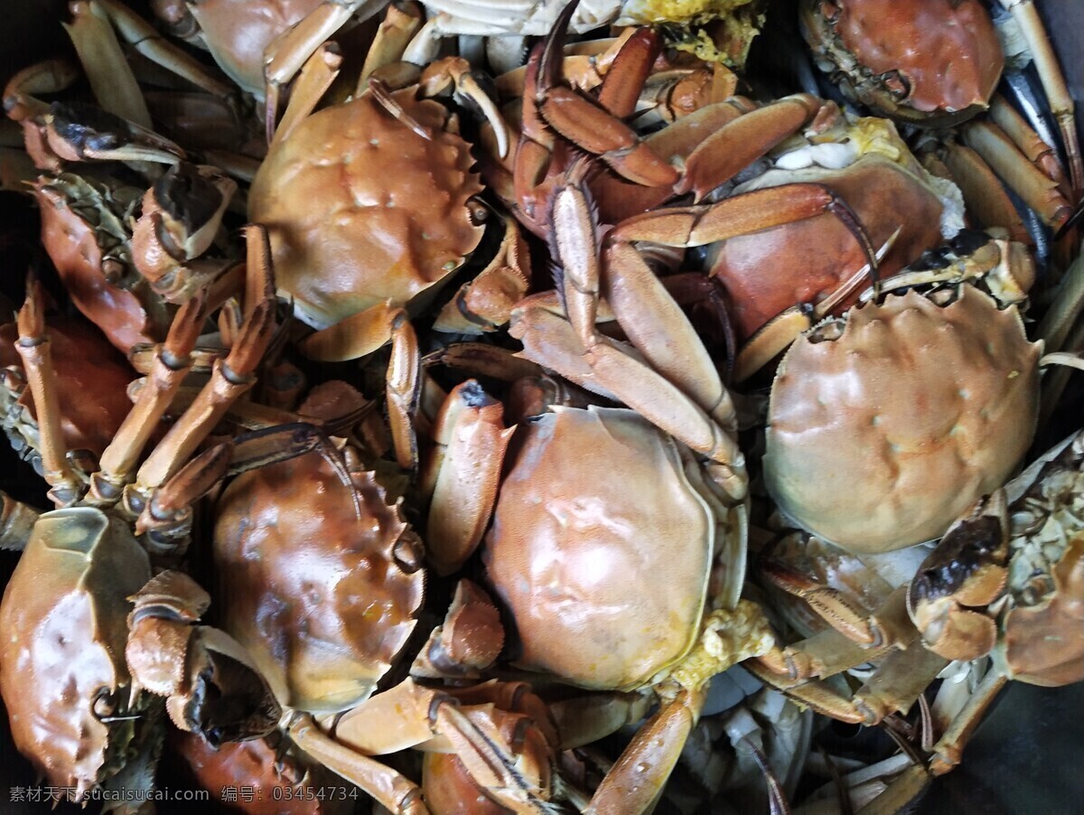 螃蟹 大闸蟹图片 大闸蟹 清蒸大闸蟹 美食 美味 营养 海鲜 清蒸 生猛 食品摄影 餐饮美食 传统美食