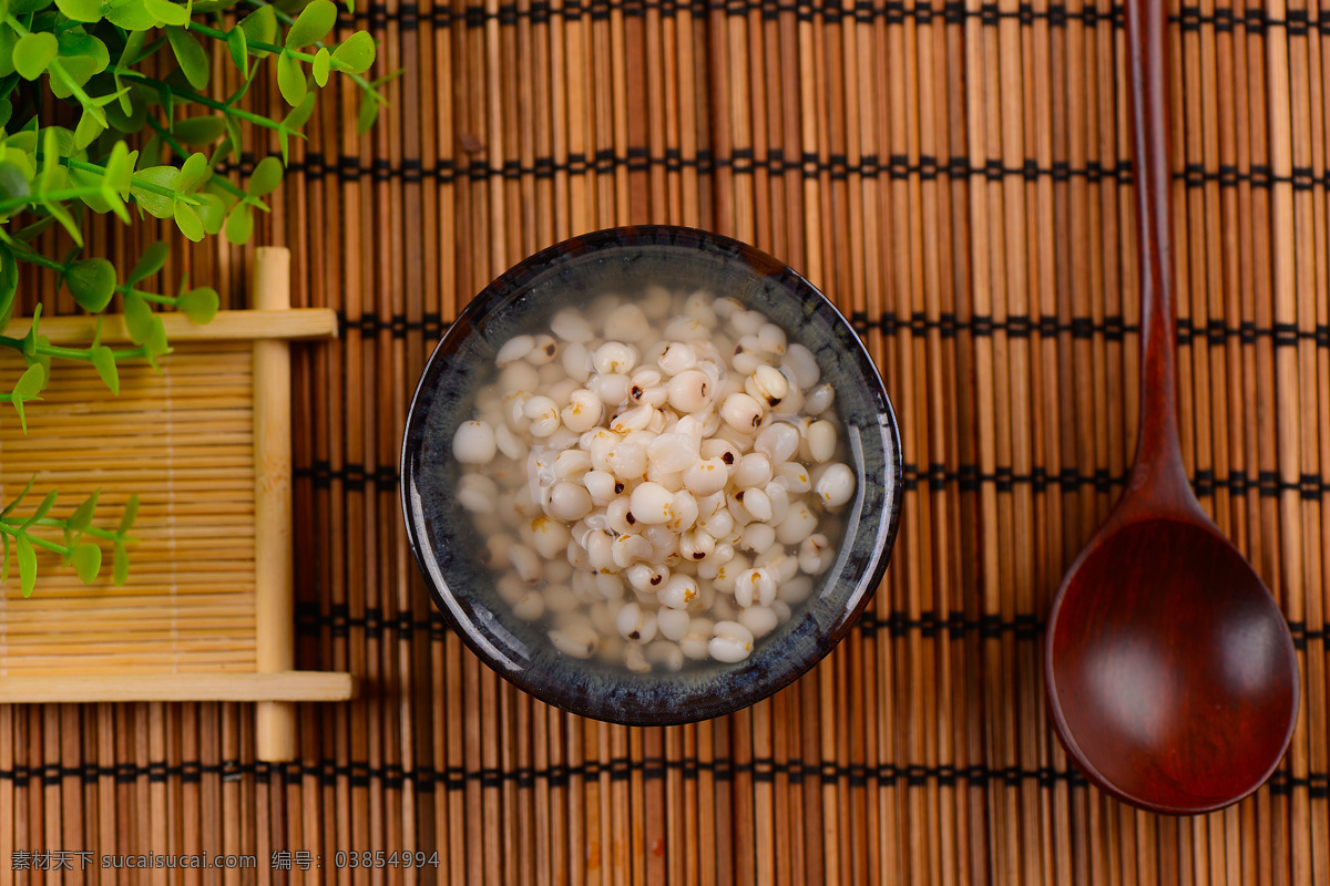 薏仁米 米粥 粮食 食物 养生食材 餐饮美食 食物原料 养生原料 营养粥 养生粥 五谷杂粮 健康早餐 中式快餐 米 食材 原料 美食 传统美食 米粥图片 场景图 米粥场景 薏仁粥 薏仁