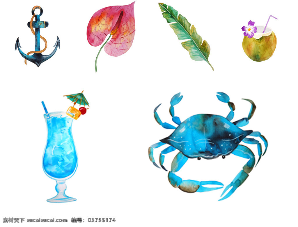 夏天 沙滩 度假 插画 手绘 水彩绘 花朵 饮料 螃蟹