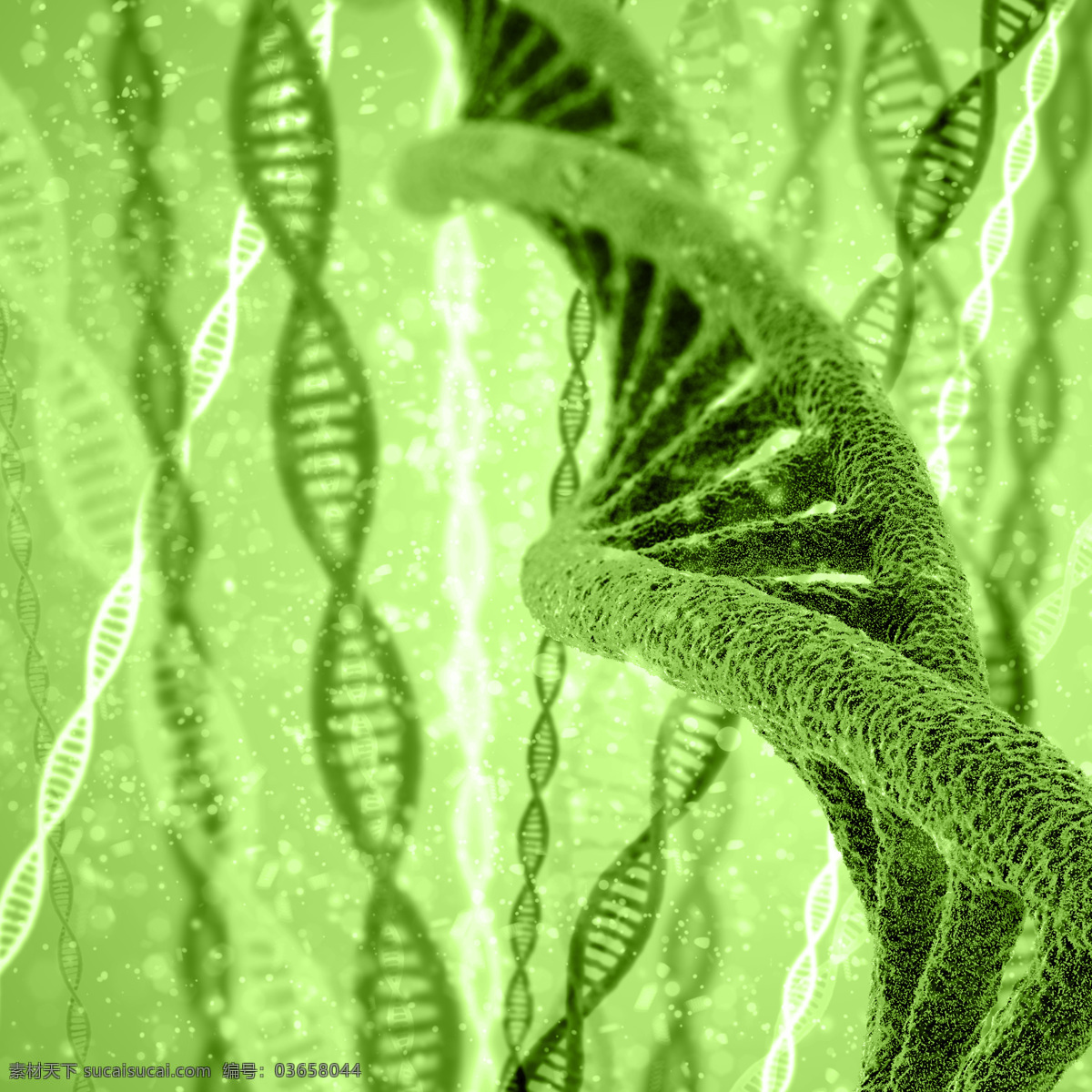 基因dna 分子结构 分子 医疗 医学 染色体 科学实验 结构 现代科技 科学研究
