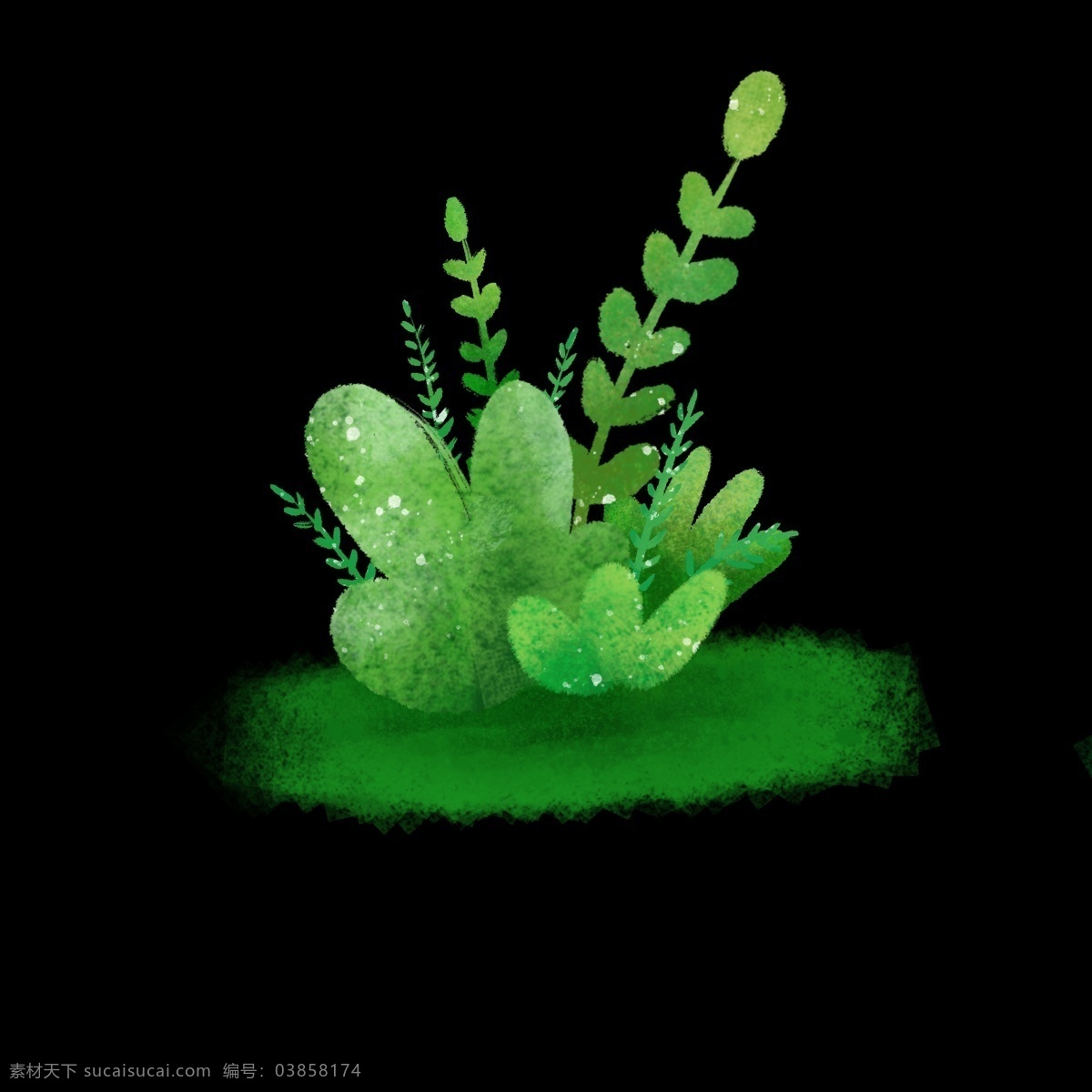 夏季 淡 彩 绿色 小草 免 抠 图 清新 夏日植物 淡彩植物 季节 春季