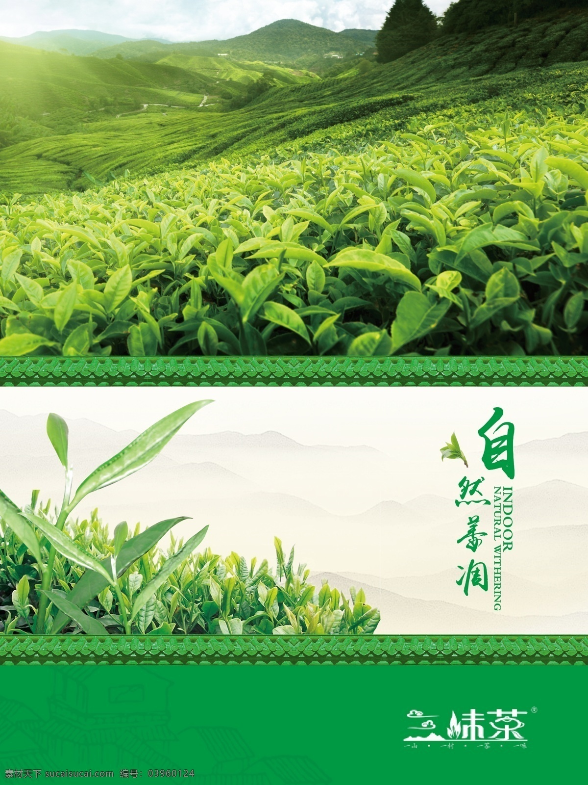 茶文化 茶叶 绿茶 背景 展板 海报 绿色背景