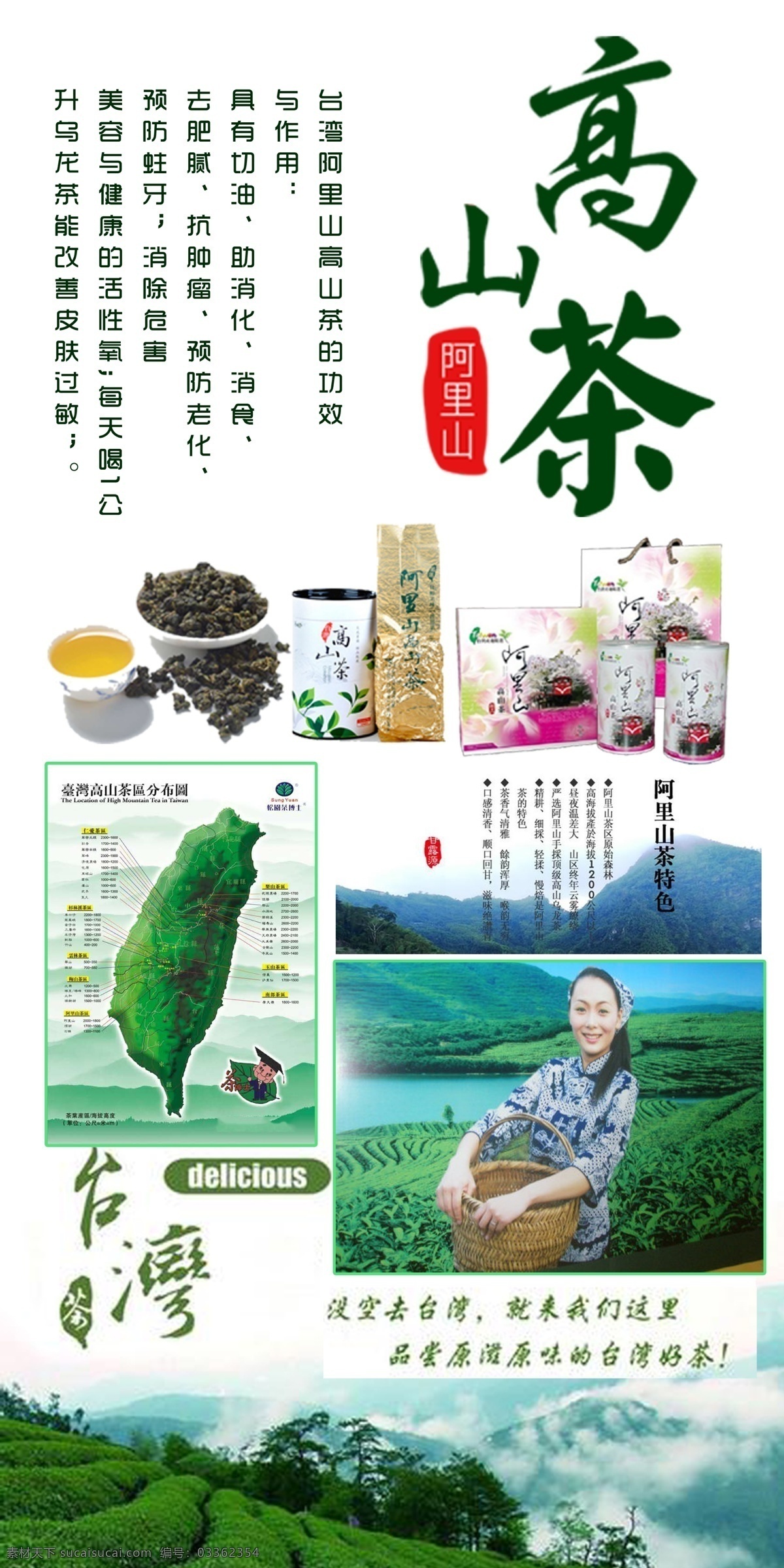 psd素材 茶 茶道 阿里山 茶文化 茶文化海报 高山 海报 阿里山海报 高山茶海报 台湾 阿里 山茶 案 白色