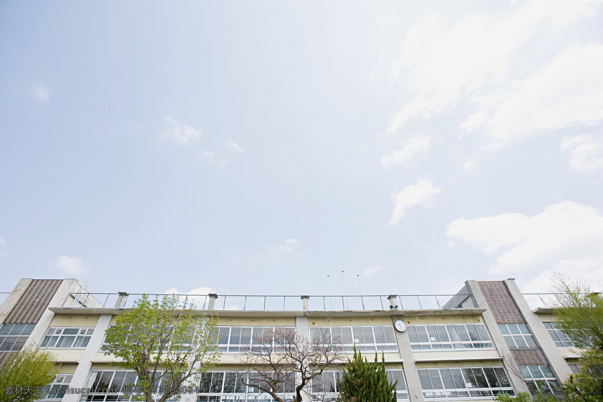 仰角 拍摄 楼房 高清图片 横构图 学校 小学校 教学楼 仰角拍摄的 板楼 树木 巍峨 天空 淡蓝色的天空 晴天 建筑设计 环境家居