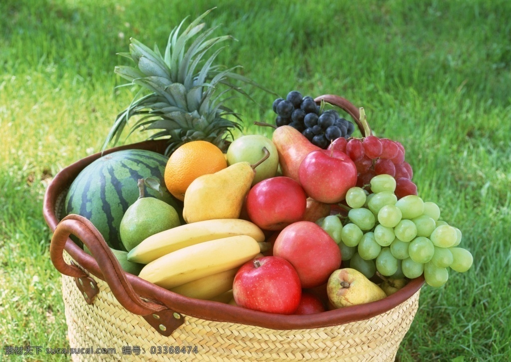 水果篮插画 新鲜水果篮 美食设计 超市 水果摊 展板 背景 水果篮 水果丰收