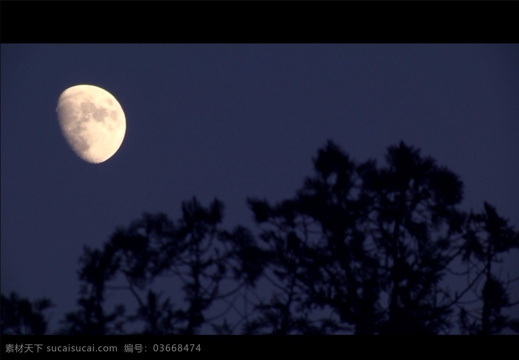 月亮 树梢 黄昏 皎洁的月亮 夜色 多媒体 实拍视频 自然风光 mpg