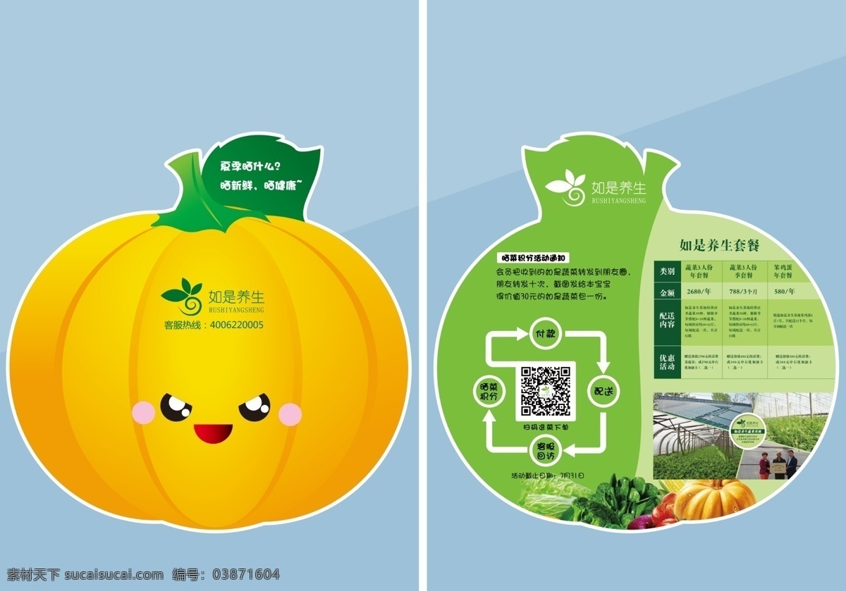 宣传单 南瓜 蔬菜 黄色