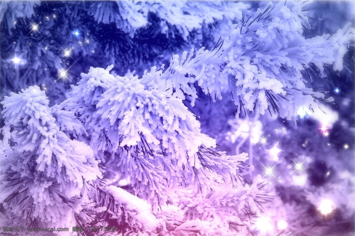 冰雪 覆盖 树枝 树林 森林 冰冻 冰花 霜花 景色 景观 山水风景 风景图片
