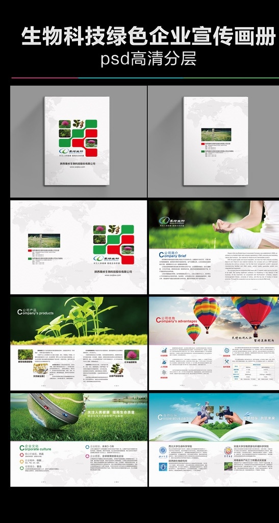 生物科技 绿色 宣传画册 生物科技画册 绿色科技画册 绿色生命画册 绿色画册设计 简洁封面设计 画册设计