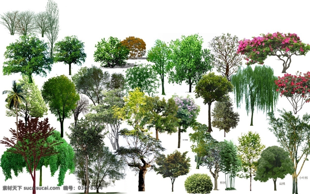 psd树木 景观配景 植物 树木 花草 配景 景观设计 园林 环境 环境设计 源文件