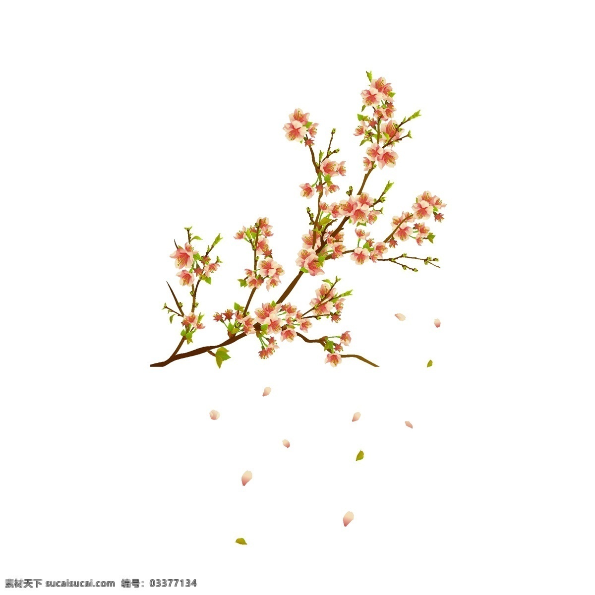 手绘 写实 风 装饰 春天 桃花 花卉 飘落 桃枝 写实风