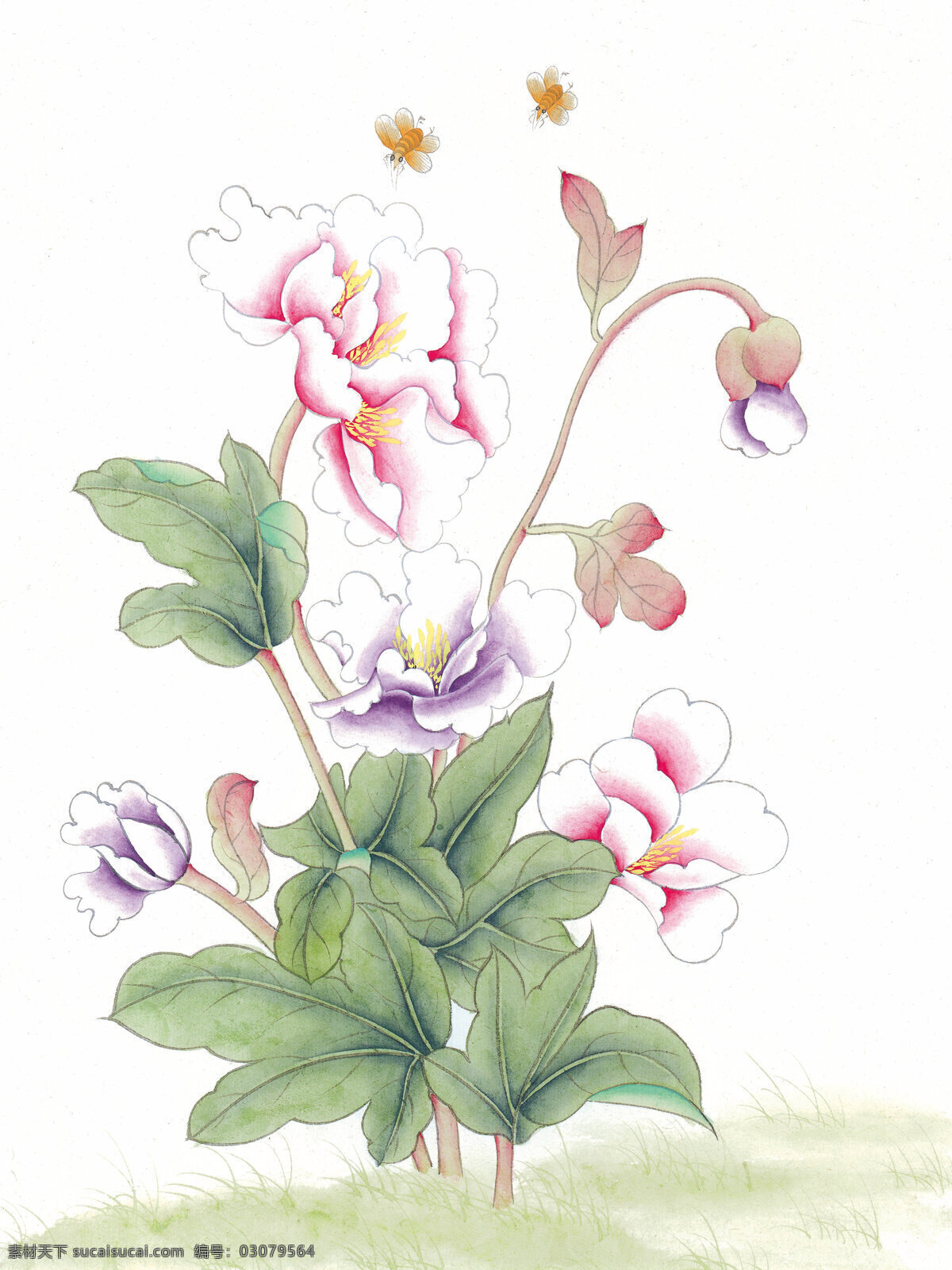 中式 花鸟 工笔画 花朵 花卉 花草 鸟 中国风 中式工笔画 文化艺术 绘画书法