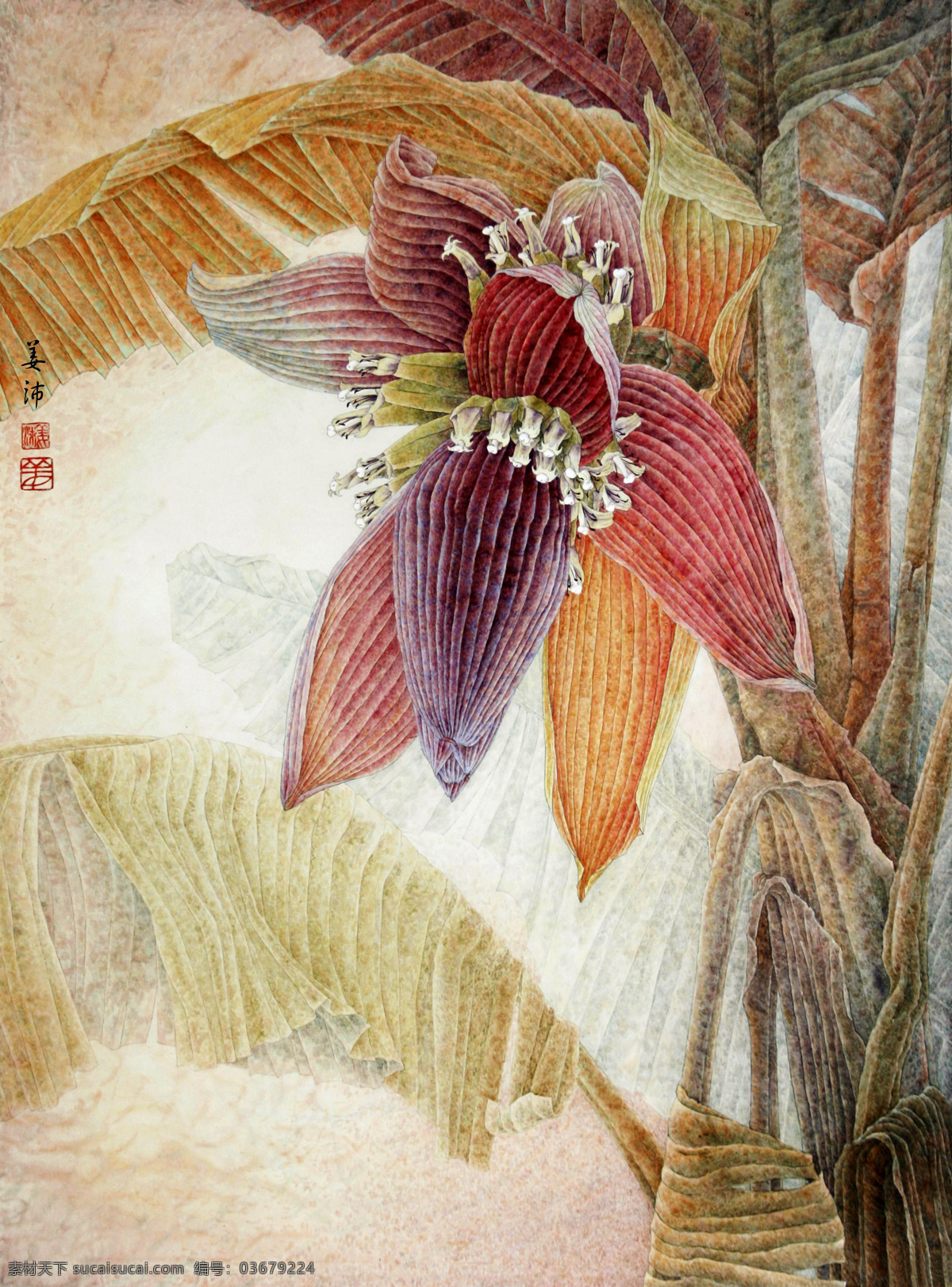 蕉香 美术 中国画 工笔重彩画 蕉树 蕉蕾 国画艺术 国画集74 绘画书法 文化艺术