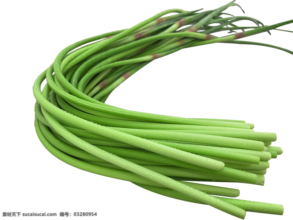 蒜苔 绿色 生鲜 蔬菜 农业 生物世界