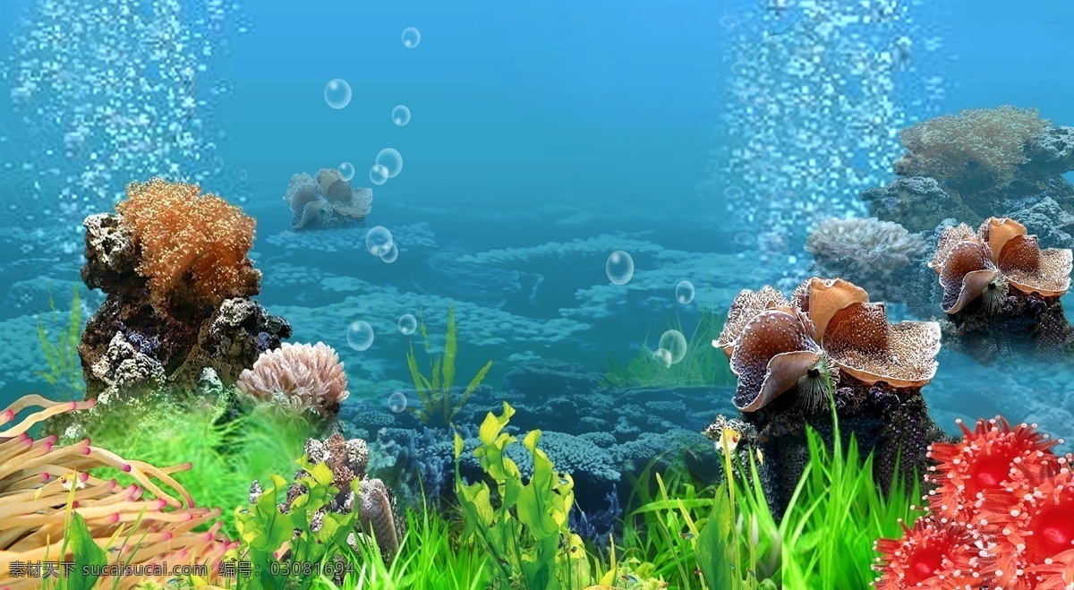 海底 世界 气泡 珊瑚 水草 水族馆 装饰素材 室内装饰用图