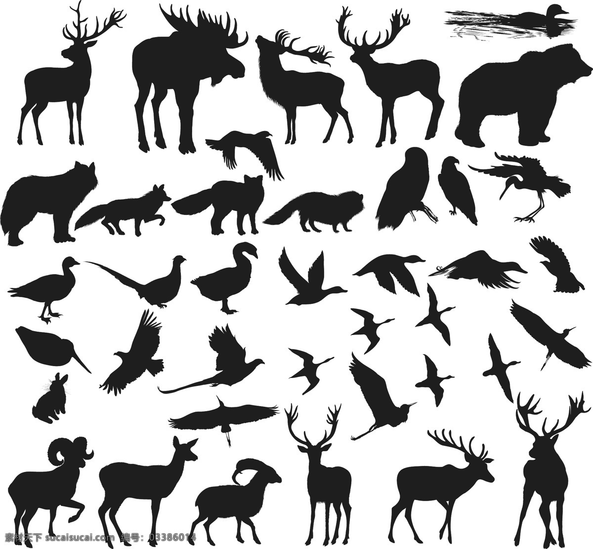 手绘线描动物 鹿 野生 小 动物图片 野生小动物 复古线描 鸟 鹿剪影