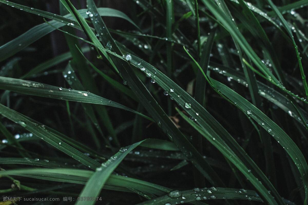 水 滴 湿 背景 自然 壁纸 环境 雨滴 插图 城市 建筑 窗 玻璃 朦胧 自然景观 山水风景