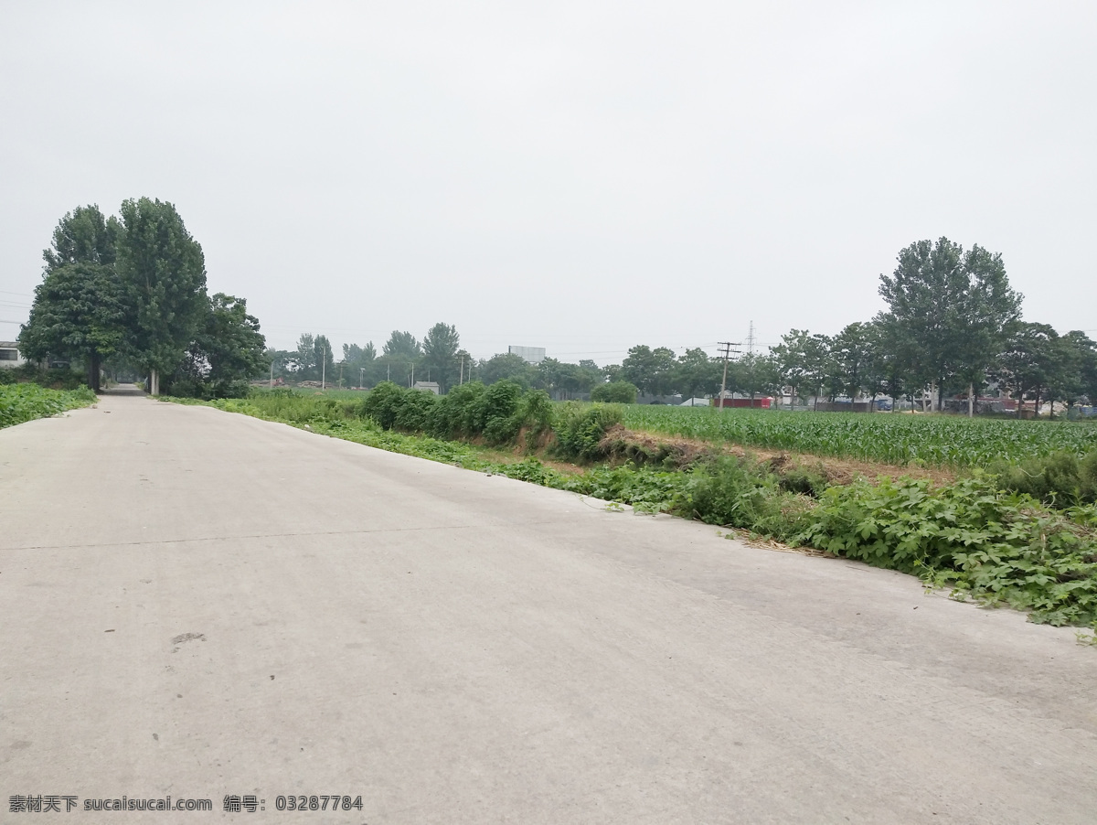 乡间水泥路 农村 水泥路 路边 绿树 田地