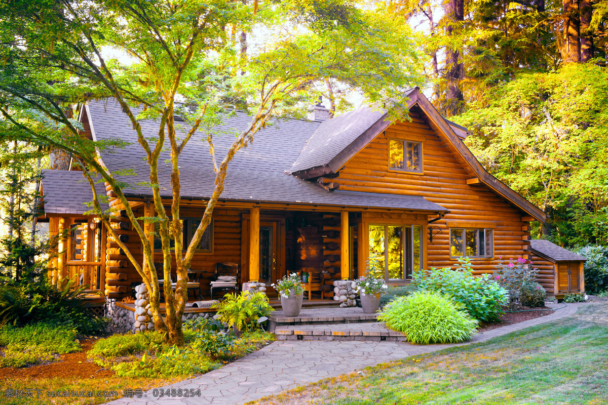 绿树 围绕 木屋 木头别墅 木头房子 房屋地产 木屋风景 房子风景 建筑风景 建筑设计 环境家居