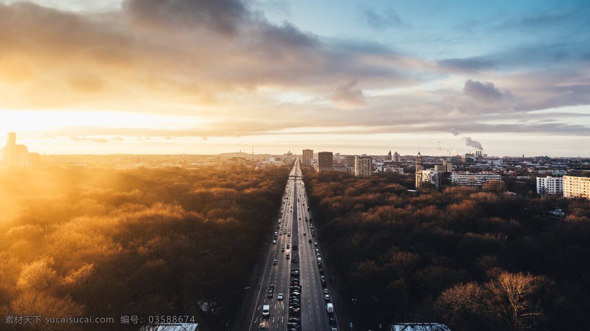 森林道路 道路 天空 森林 阳光 风景 自然景观 山水风景