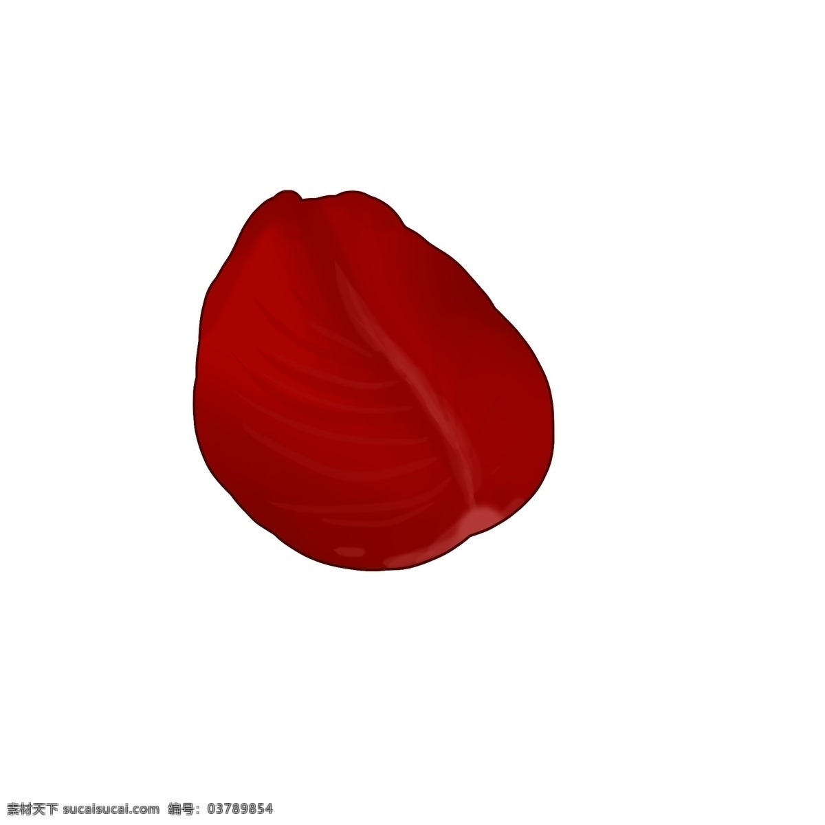 红色 玫瑰 花瓣 玫瑰花 透明背景 写实风格 一片花瓣 漂浮元 素 材 psd文件 情人节