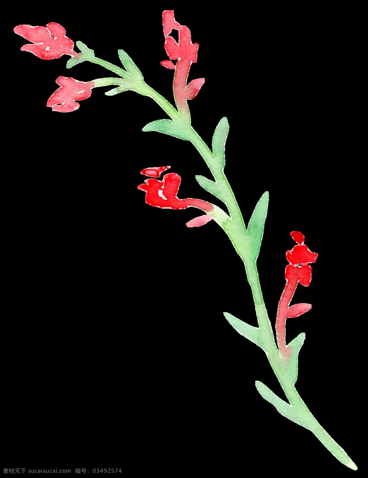 迷你 喇叭花 透明 花朵 喇叭 植物 可爱 透明素材 免扣素材 装饰图案