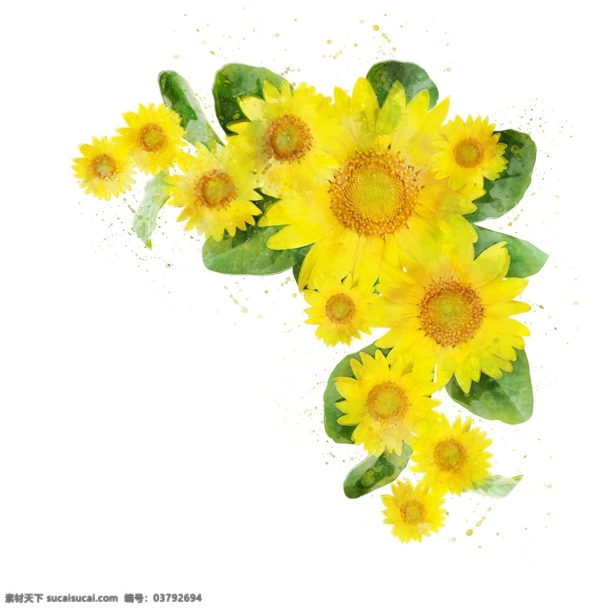 向日葵 黄色 花朵 原创 元素 边框 花边 花 框 植物 花卉元素 一簇 手绘