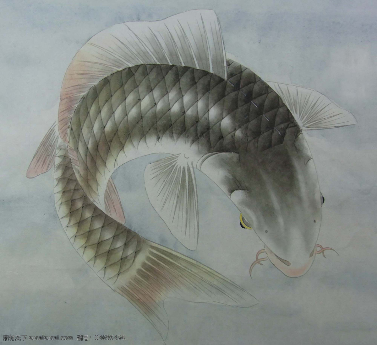 鲤鱼 工笔画 国画鲤鱼 绘画书法 美术绘画 水墨画 水墨鲤鱼 鱼类 文化艺术 生物世界