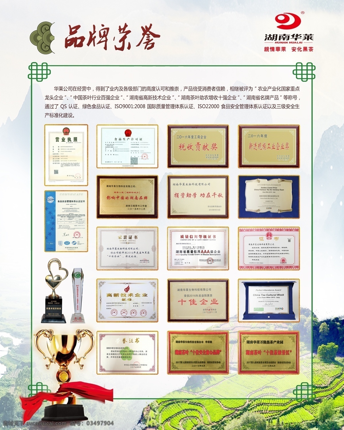 华 莱 健 品牌 荣誉 华莱健 介绍 黑茶 分层