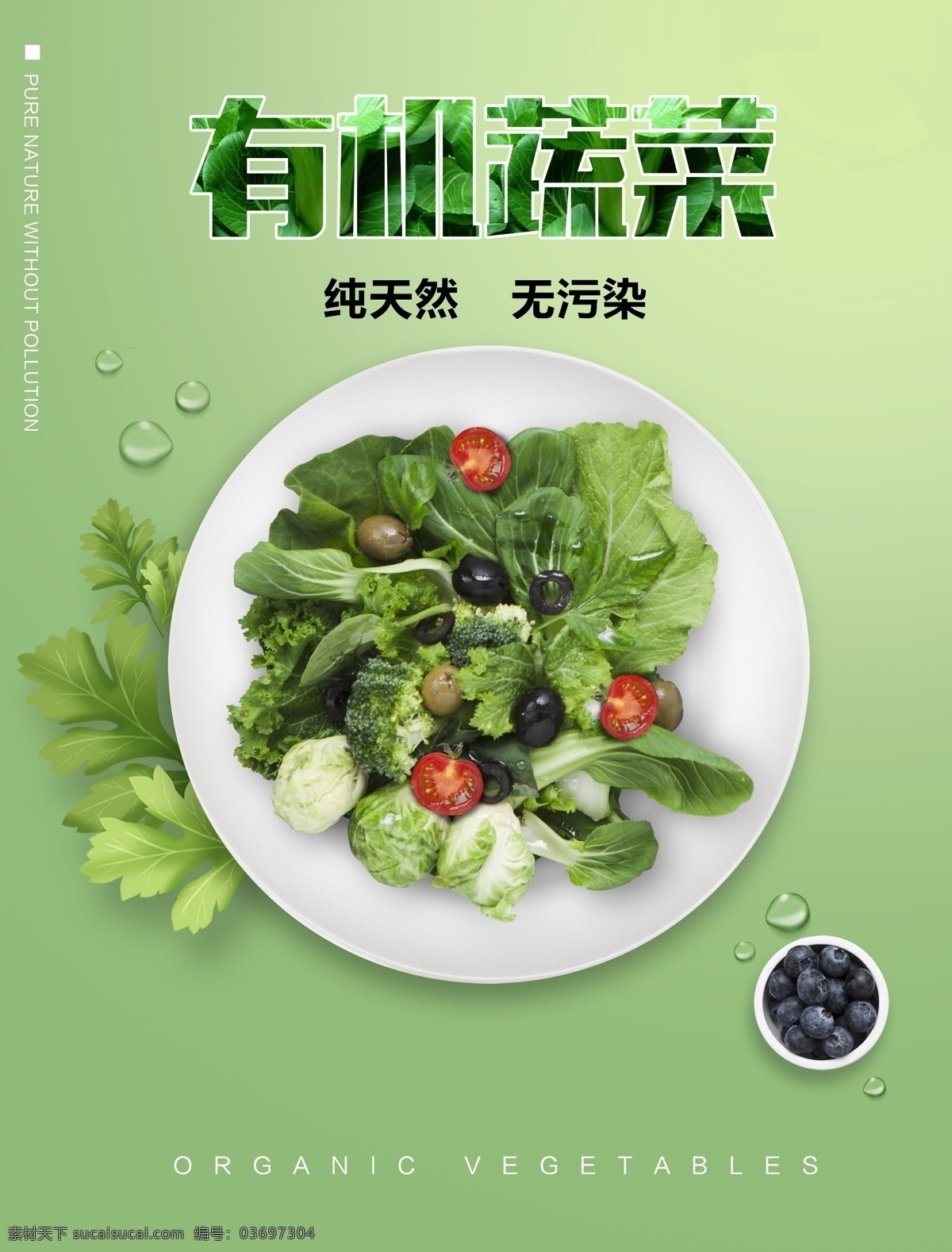 有机 蔬菜 分层 海报 有机蔬菜 蔬菜分层 绿色海报 健康