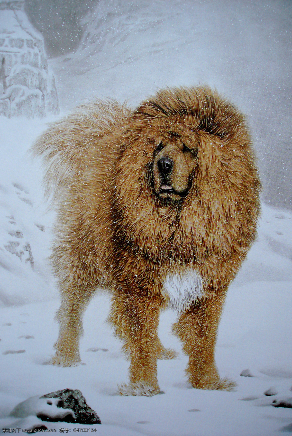 工笔画 动物世界 瑞雪藏獒 飘雪纷纷 文化艺术 美术绘画 生物世界 野生动物 设计图库 绘画书法