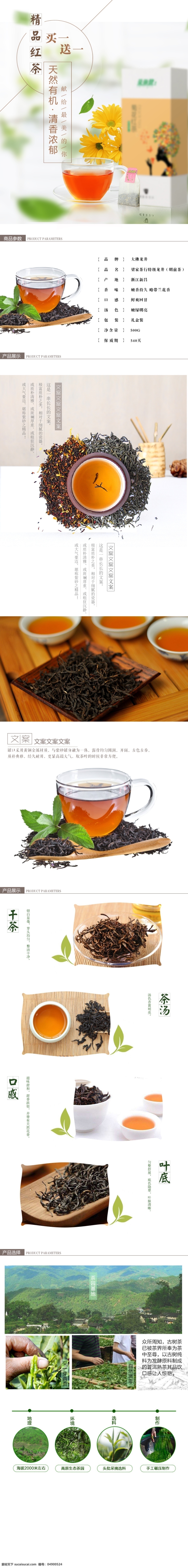 红茶 茶叶 详情 页 描述 天然 有机 模板 茶叶礼盒 茶饮 养生茶 有机茶