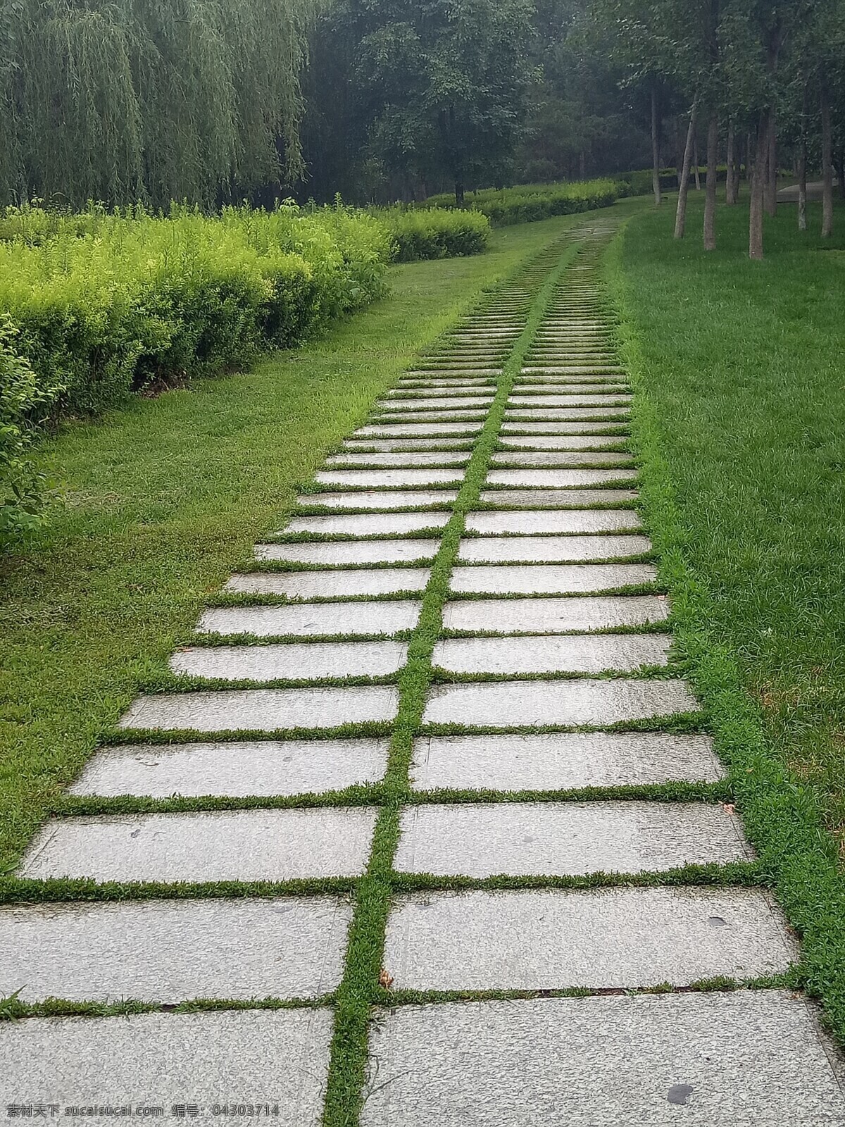 林荫小路 树林 小道 小路 园林 绿色 树木 道路 林荫路 林荫道 林间小道 林间小路 美照 自然景观 自然风景