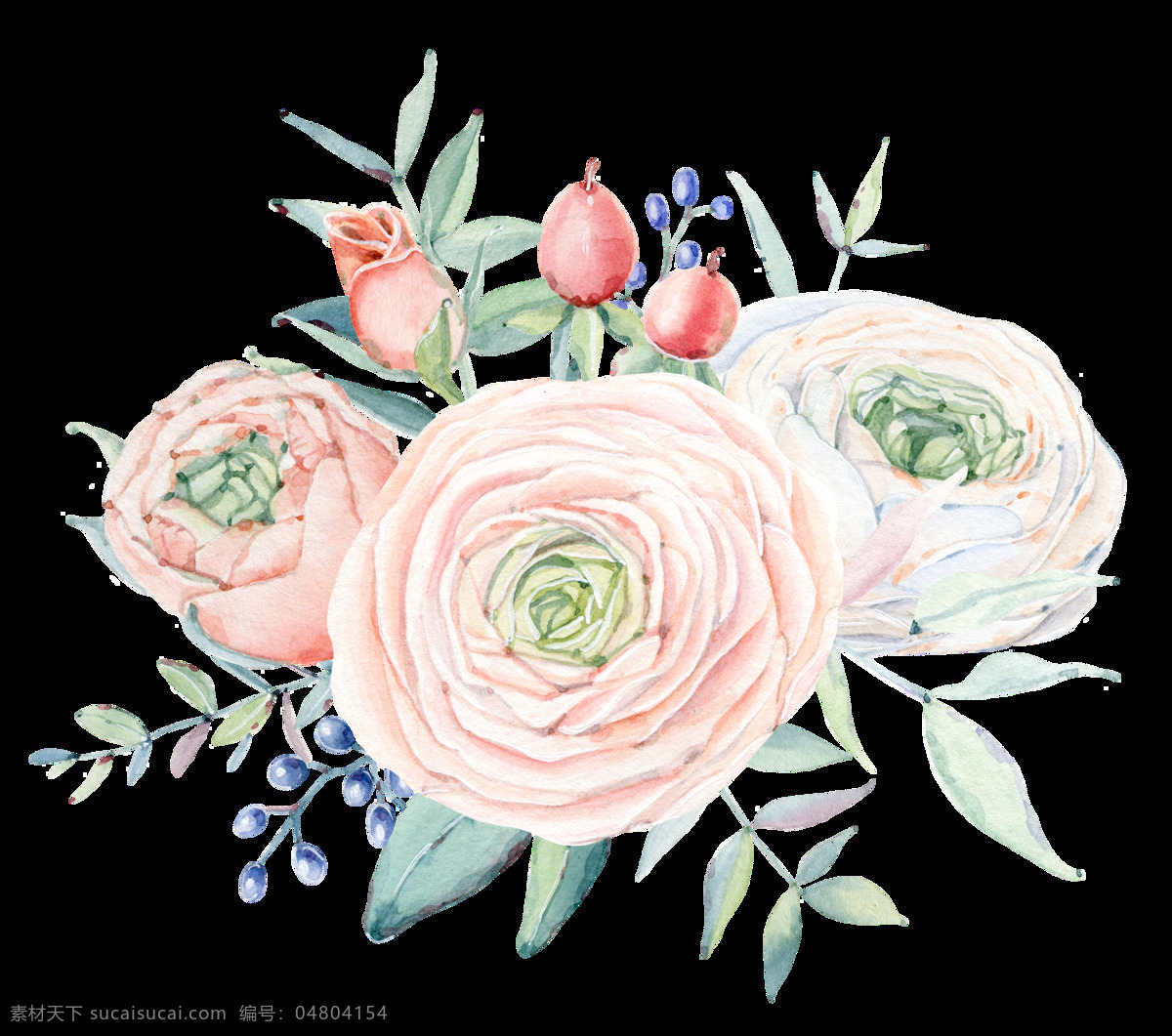 手绘 朵 粉红色 玫瑰 透明 装饰 图案 粉红色玫瑰 红色 绽放 含苞 叶子 装饰图案