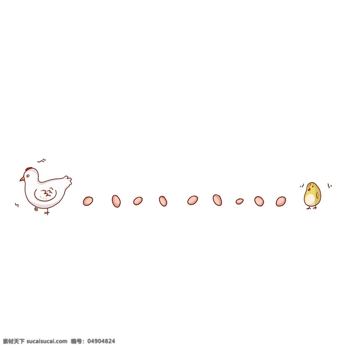 手绘 小鸡 分割线 插画 卡通插画 手绘插画 动物分割线 宠物 小鸡分割线 白色的小鸡 小鸡吃米