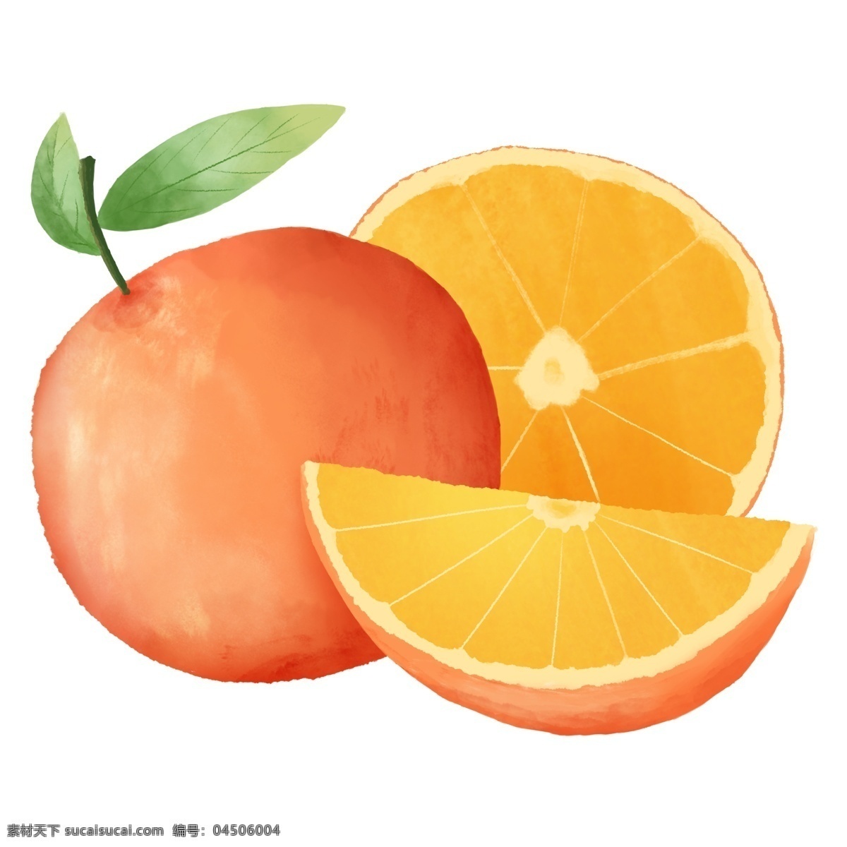 一个 橙子 半 水果 夏季 夏天 半个 一瓣 甜 水彩 橙色