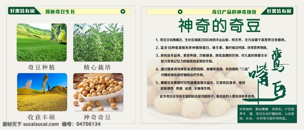 奇豆成长过程 种子 培养 收获 成品奇豆 流程图 产品介绍 食品 网站 产品 介绍 pdf 白色