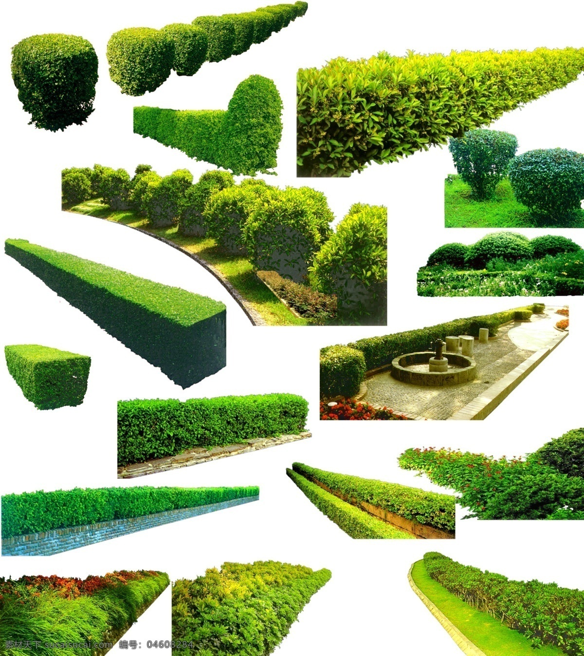 绿化带素材 绿化 绿化素材 树 草 树素材 绿化树 绿化带 道路绿化 道路绿化素材 行道绿化 素材共享 自然景观 建筑园林