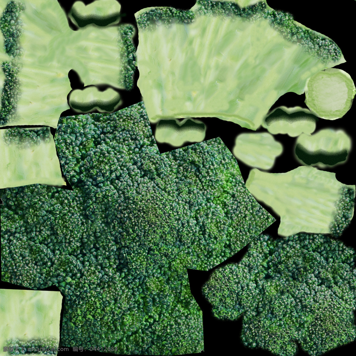 西兰花 模型 花菜 蔬菜 3d模型素材 其他3d模型