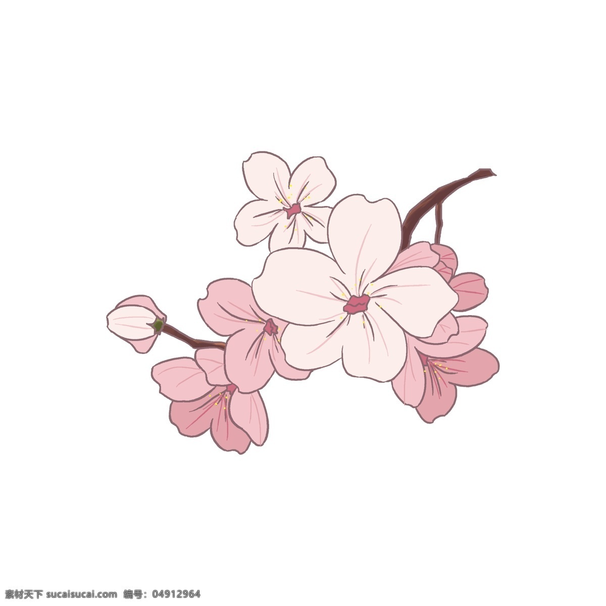 粉白色 春天 樱花 插画 粉白色的樱花 卡通插画 樱花插画 花朵插画 鲜花插画 花卉插画 漂亮的樱花