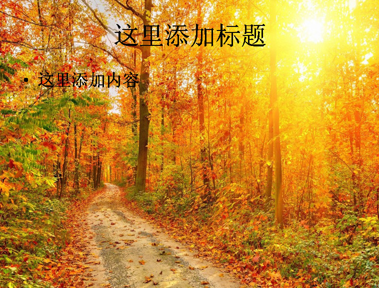 秋天 林间 小路 风景 电脑 风光 景色 自然风景 模板