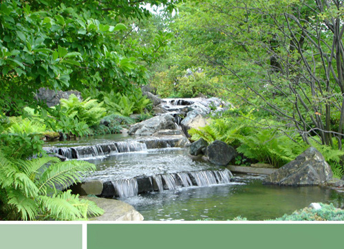 清凉 绿色 水 清爽 夏天 背景 自然风景 模板