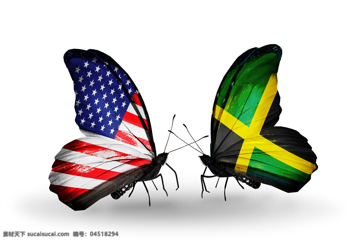 美国 牙买加 国旗 蝴蝶 美国国旗 牙买加国旗 蝴蝶旗帜 昆虫世界 生物世界 白色