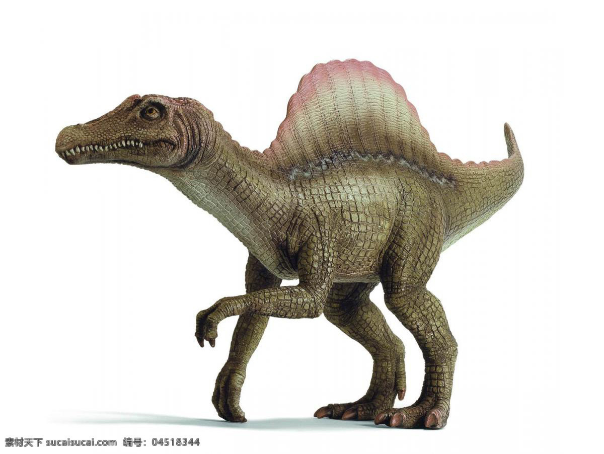 侏罗纪 时代 白垩纪 恐龙 侏罗纪时代 倒影 白色