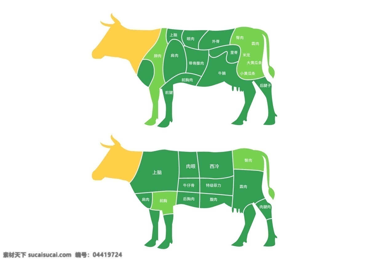 牛肉 分割 示意图 牛 分布图 牛肉分部 部位图 牛肉分解图 牛肉分割图 标注图 牛肉部位图 牛肉质分布 位分布图 牛肉部位 生活百科 餐饮美食