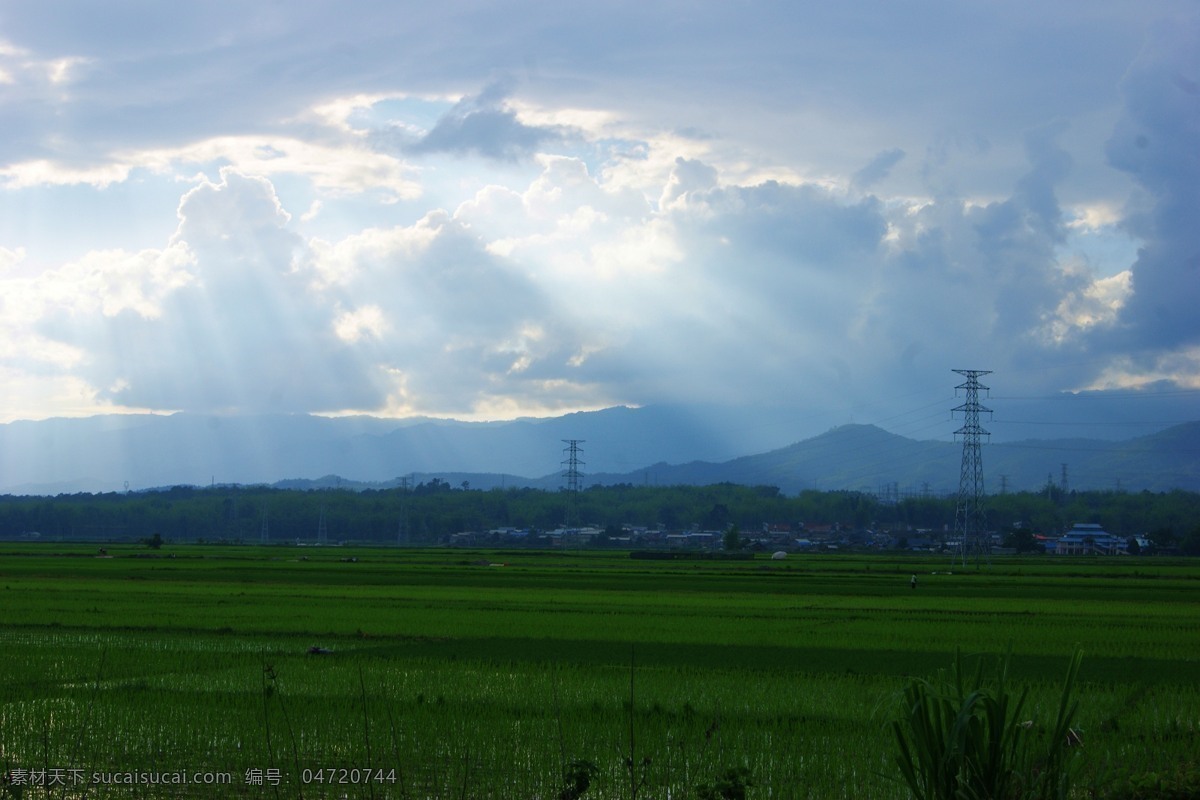 水稻 田园 自然风光 白云 风景 光线 天空 田野 自然 生活 旅游餐饮