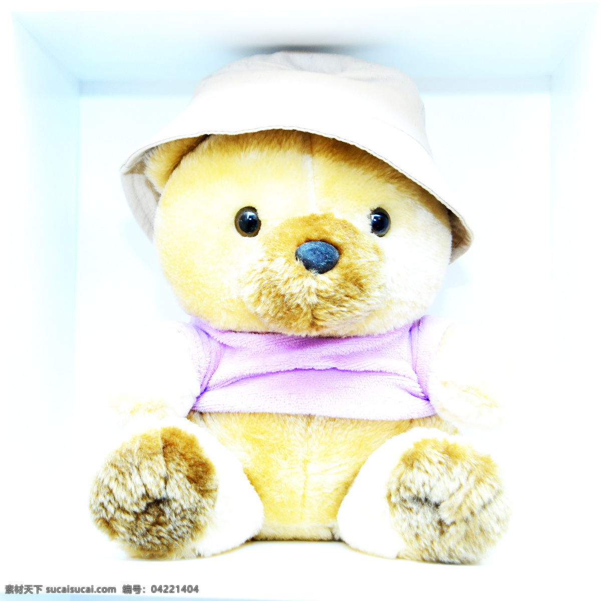 小 熊 玩具 工艺品 生活百科 娱乐休闲 装饰品 小熊玩具 绒布玩具 psd源文件